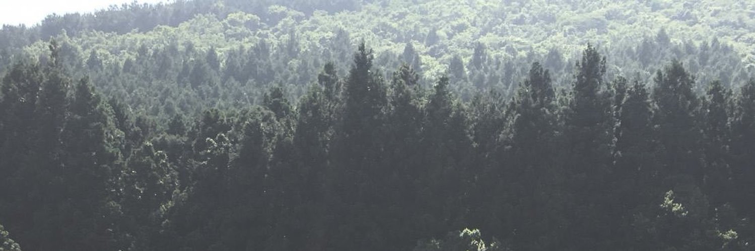 ♥︎ banner