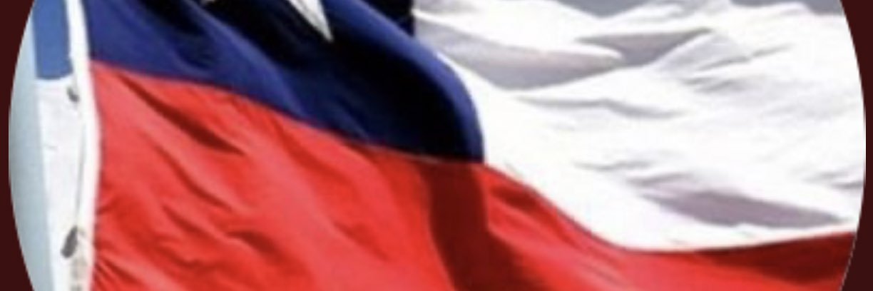 voximpopulli's profile banner image