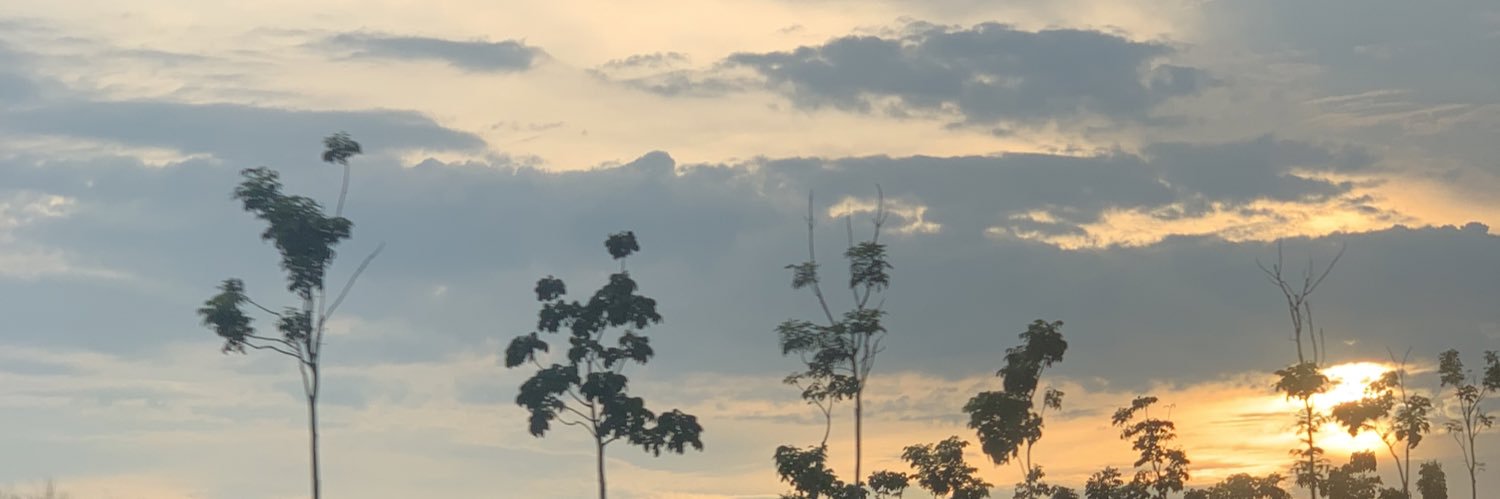 ptrsol's profile banner image
