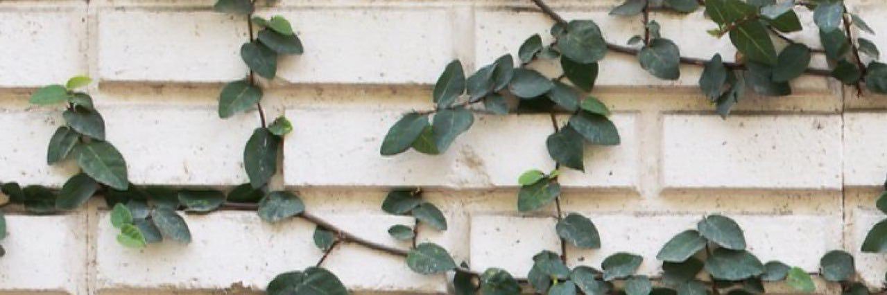 Shoroog_man's profile banner image