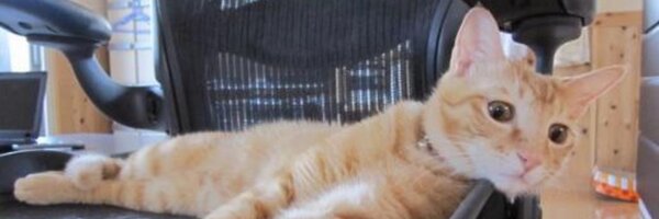 m5knt Profile Banner