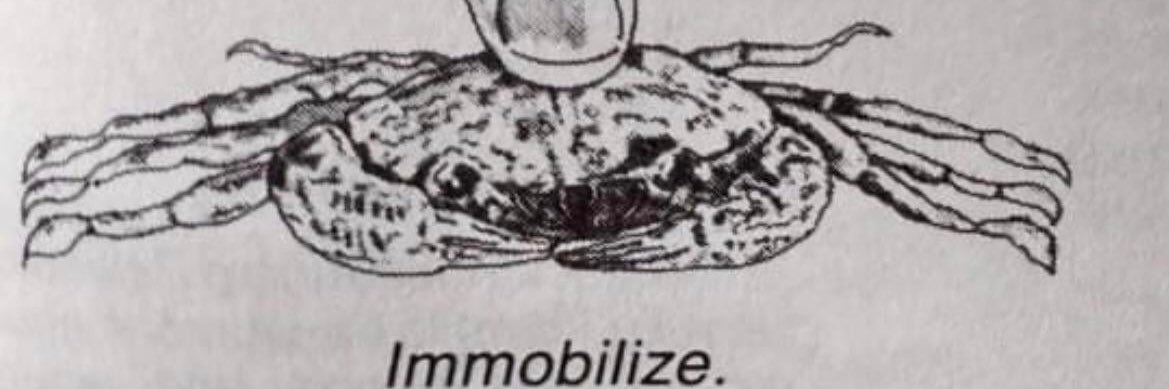 Zach Hessler 🛜 banner