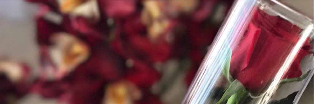 Nazbanoou's profile banner image