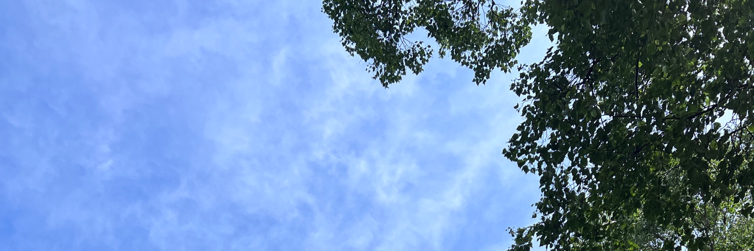 dop_ohal's profile banner image