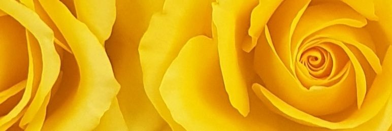 Always_see_good's profile banner image
