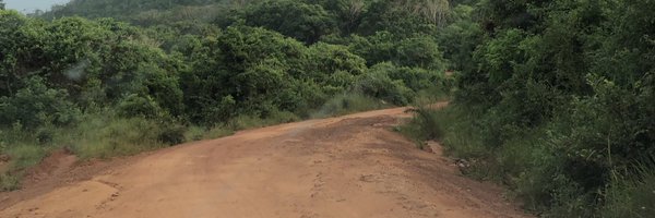 peteouko Profile Banner