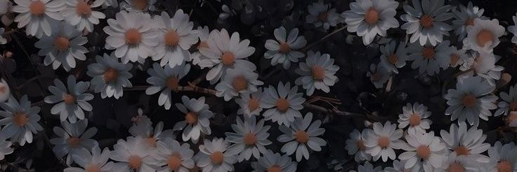 SabrinaMK banner