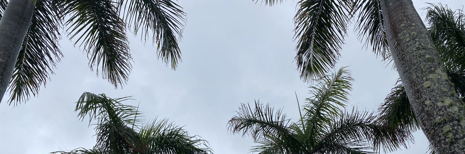 mbullen's profile banner image