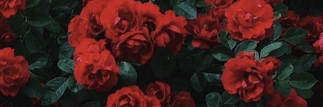 HDowaidar's profile banner image