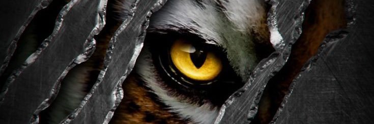 blair_a_a's profile banner image