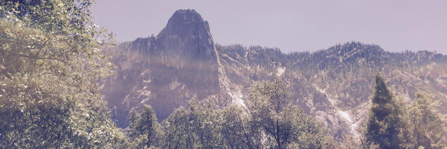 bremer's profile banner image