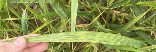 HPidon Profile Banner