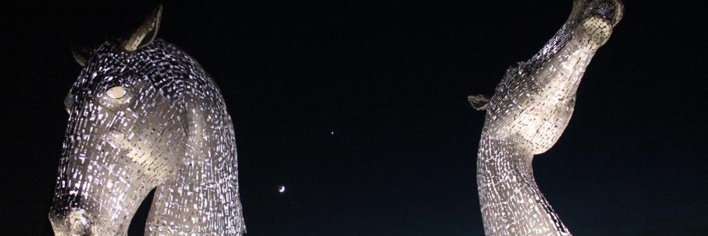 janericat's profile banner image