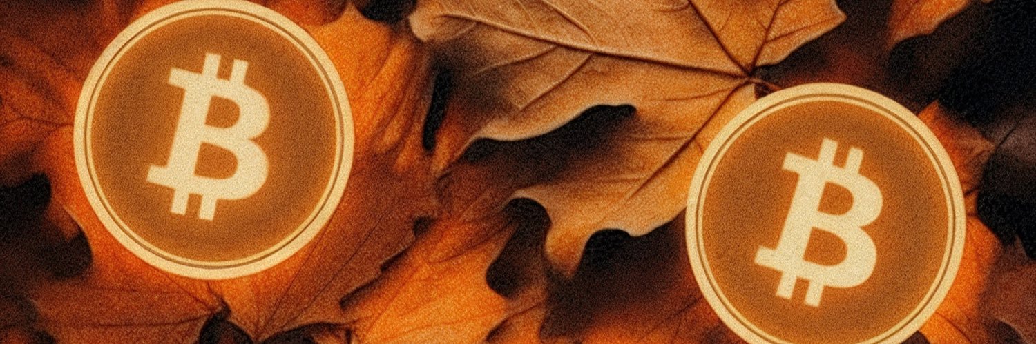 MohdBashiir's profile banner image