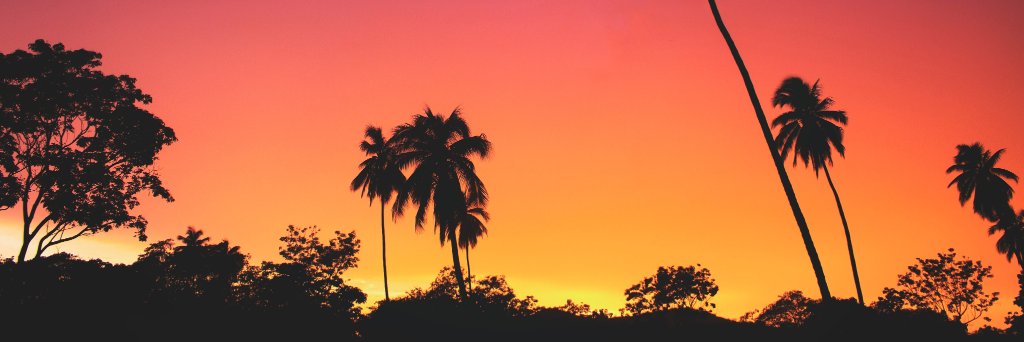 Safari647's profile banner image