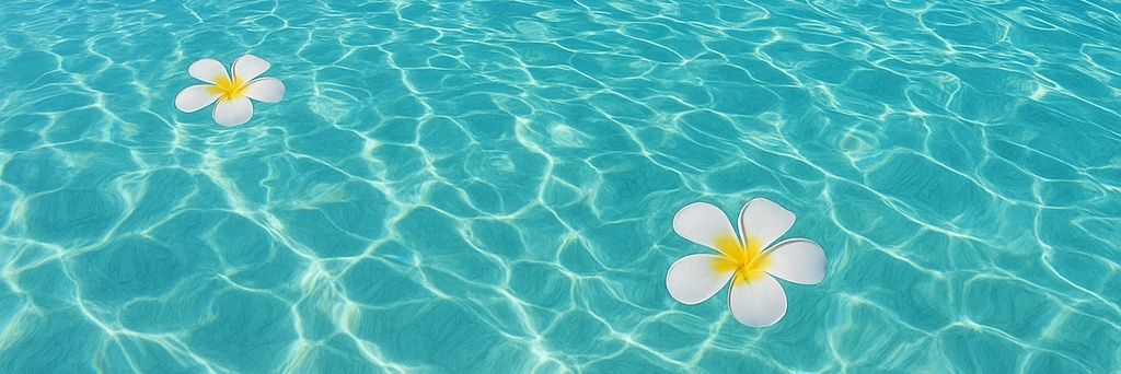 miyuKING_23's profile banner image