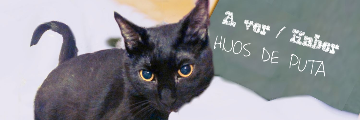 El Professor Isi 🐱🎓 banner
