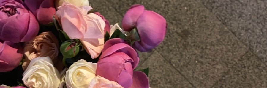 SHO_232's profile banner image