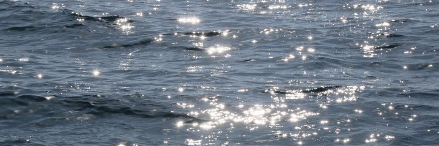sfs_5's profile banner image