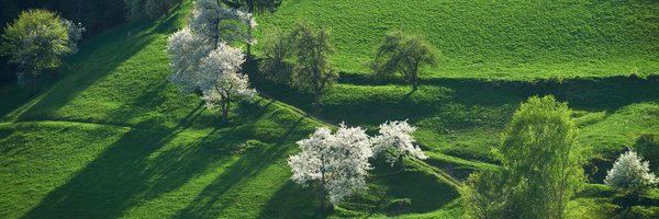 MKGP_RS Profile Banner