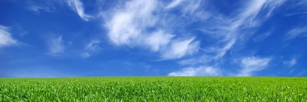 Richard Biernay Arriagada banner