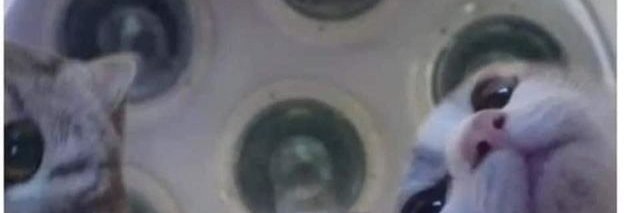 R2D4R's profile banner image
