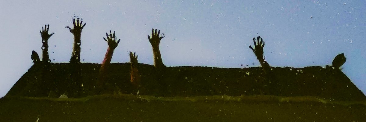em_hasib's profile banner image