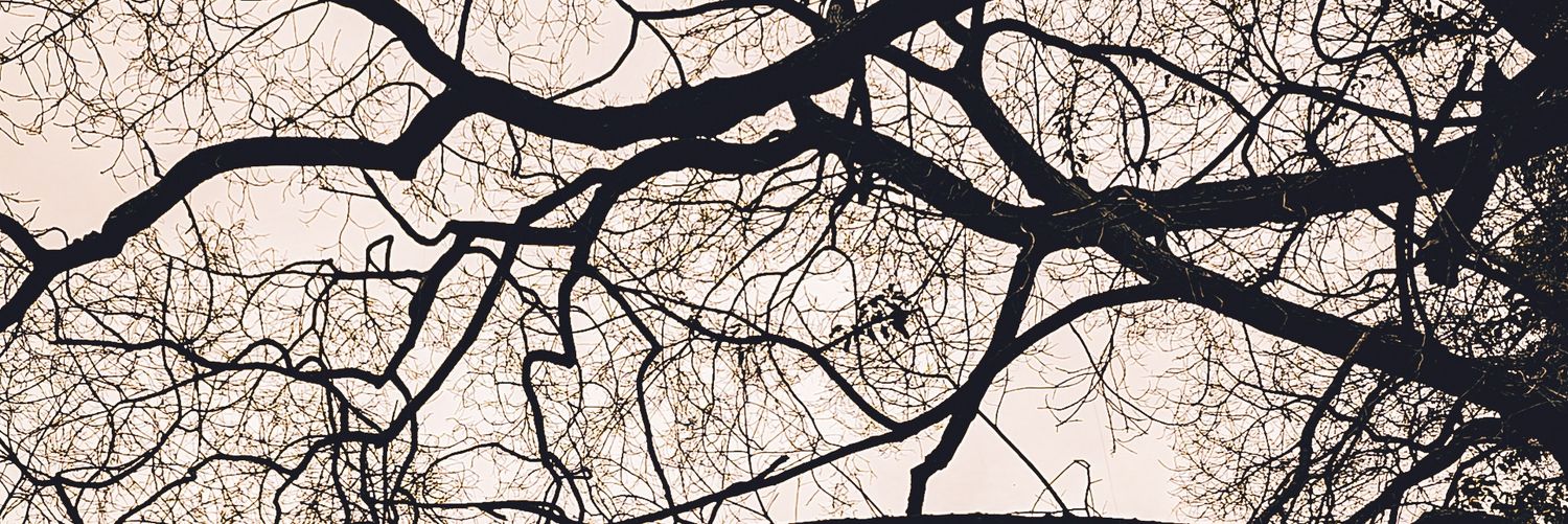 ArunBee's profile banner image