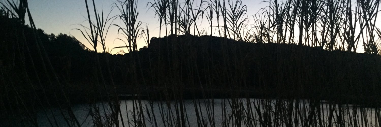 guillemar69's profile banner image