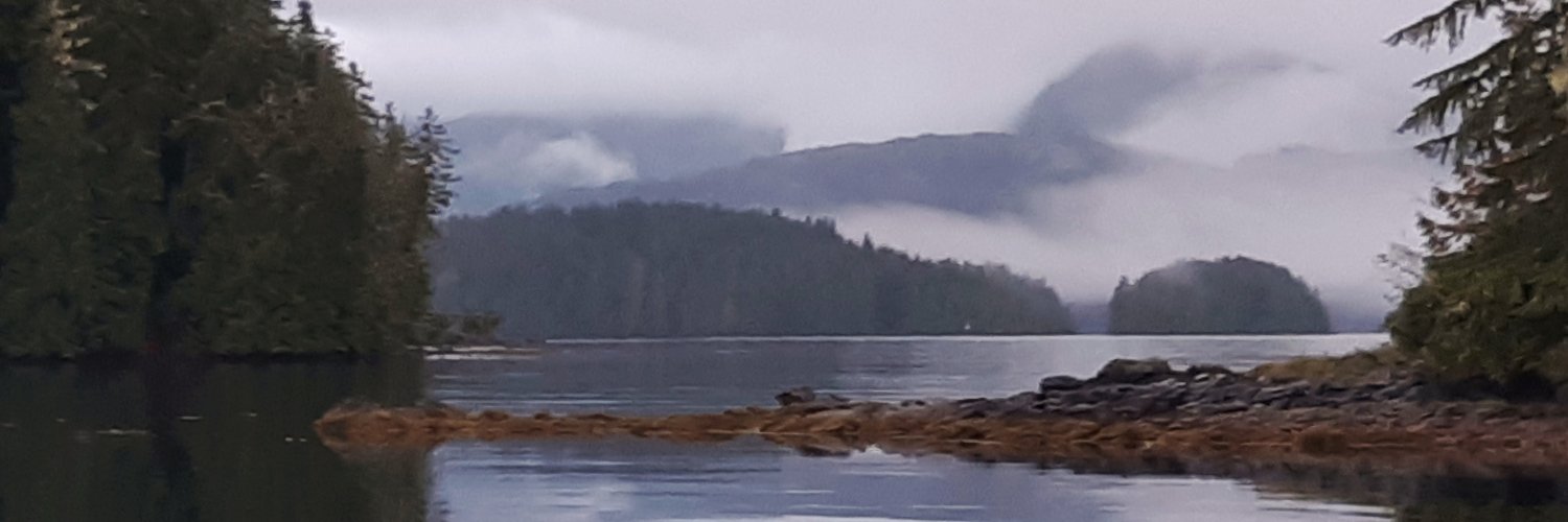 rexdurand's profile banner image
