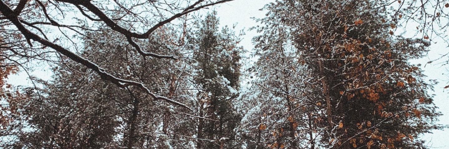 lolwesley's profile banner image
