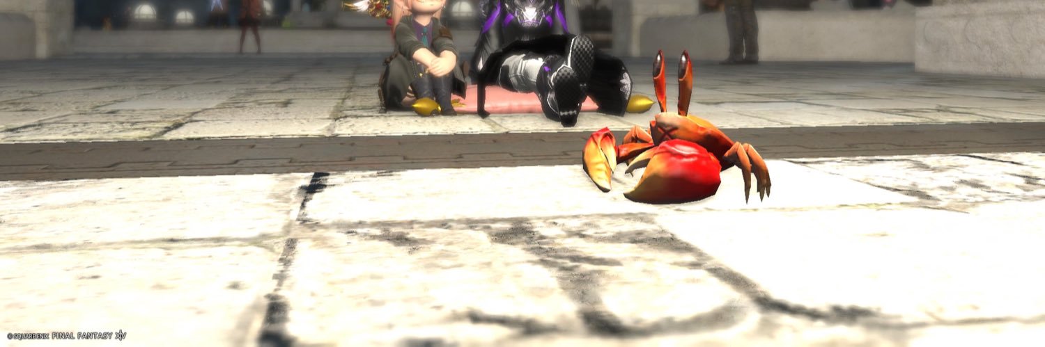__misoden's profile banner image