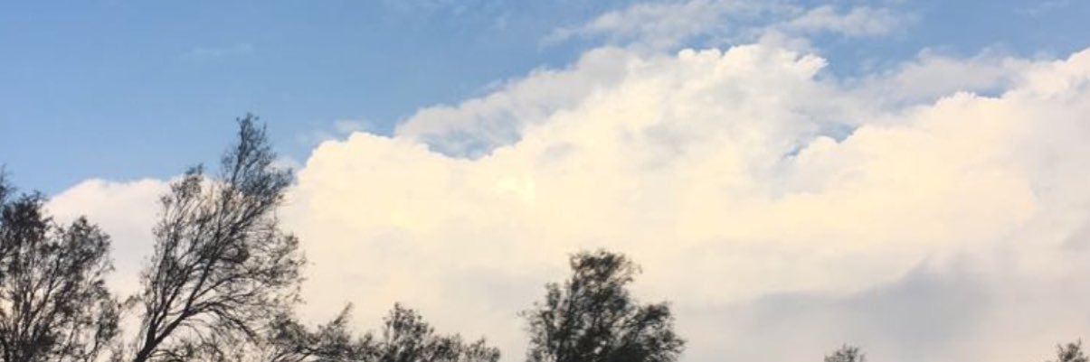 ShaimaZbil's profile banner image
