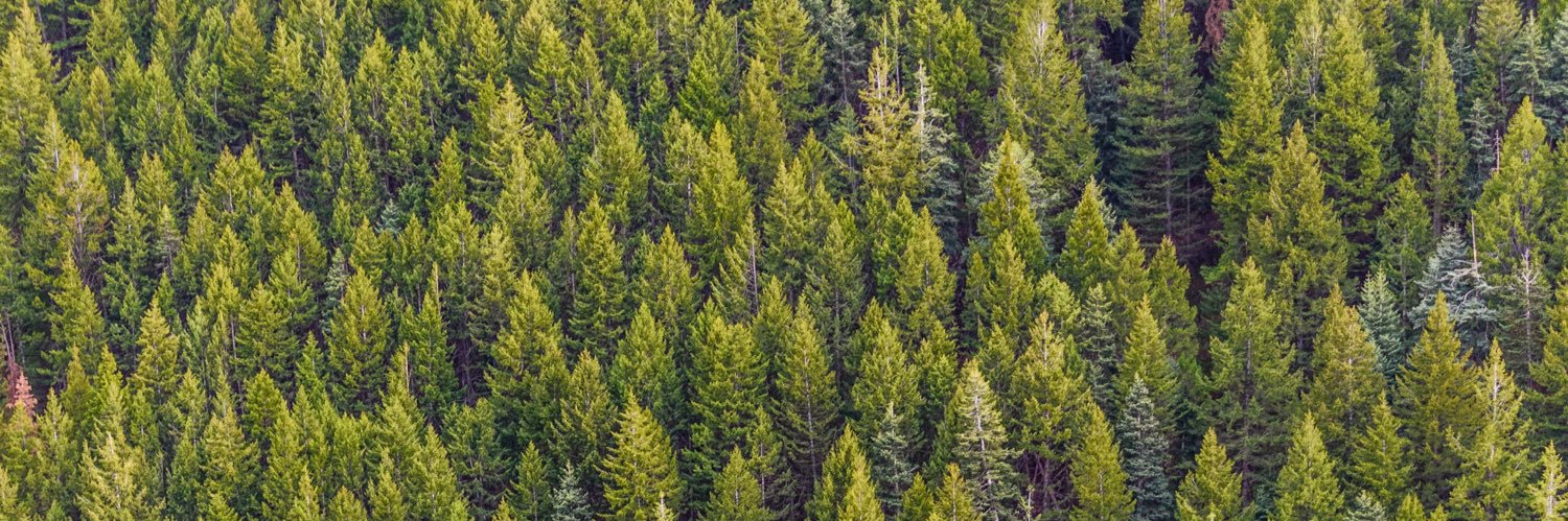 Joseph (Joe) Sia banner