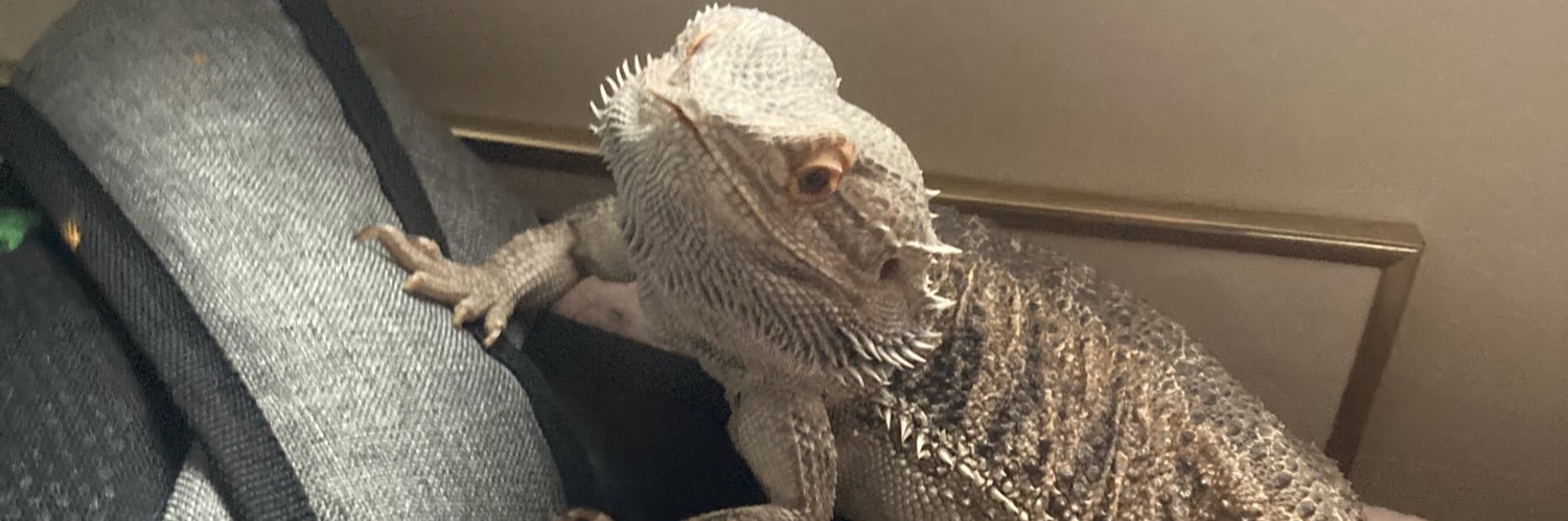 The Queen ♊️ banner