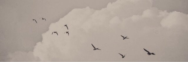 ha60010's profile banner image