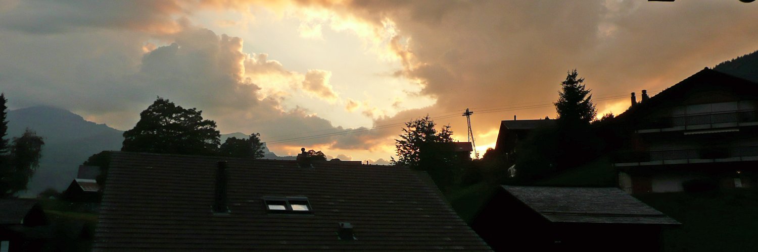 Elena's banner