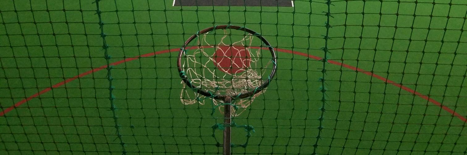 Netball Junkie banner