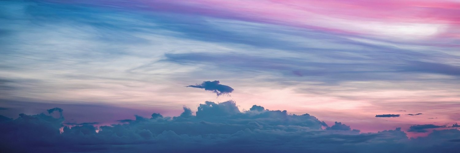 phospsyche's profile banner image
