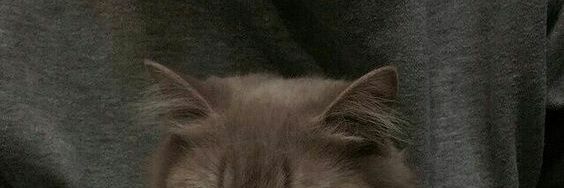 emire344's profile banner image