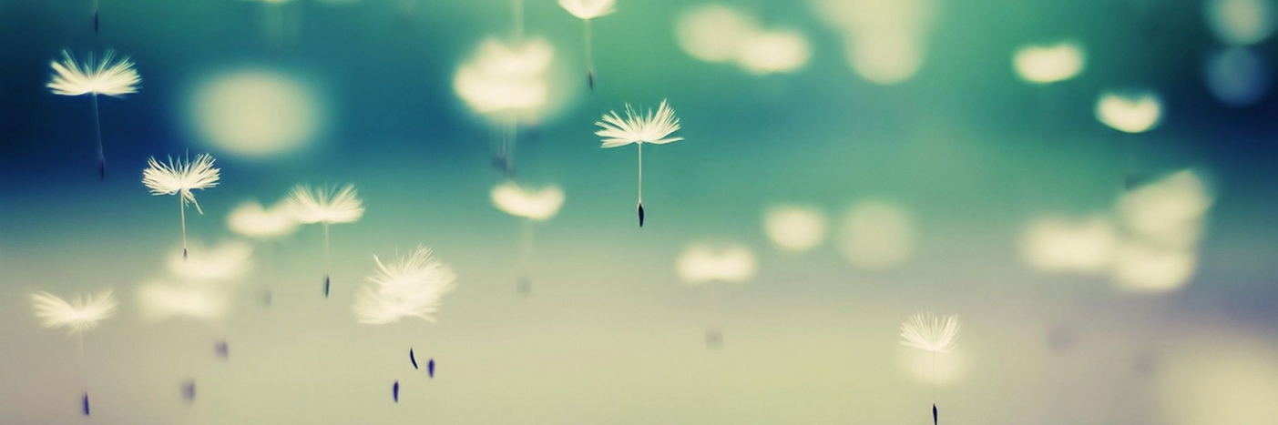 alsabot's profile banner image