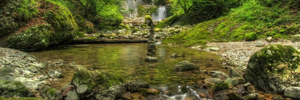 Siobhan P. Aaron PhD, MBA, RN, FNP-BC (she...) banner