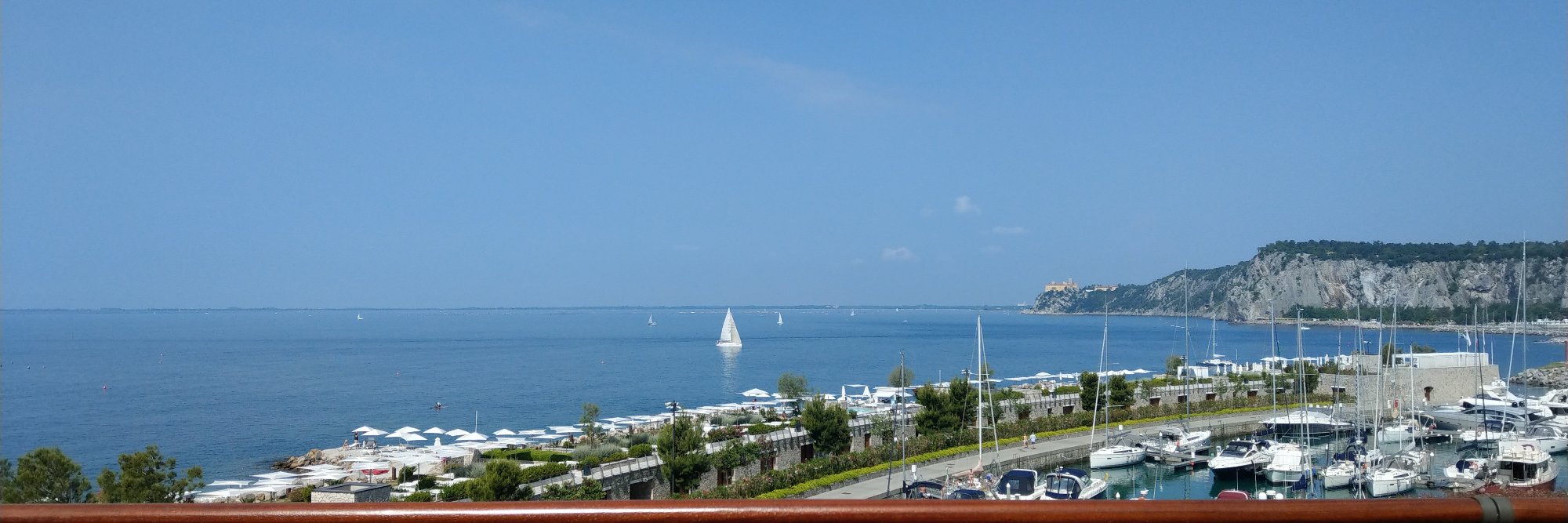 Francesca Levato banner