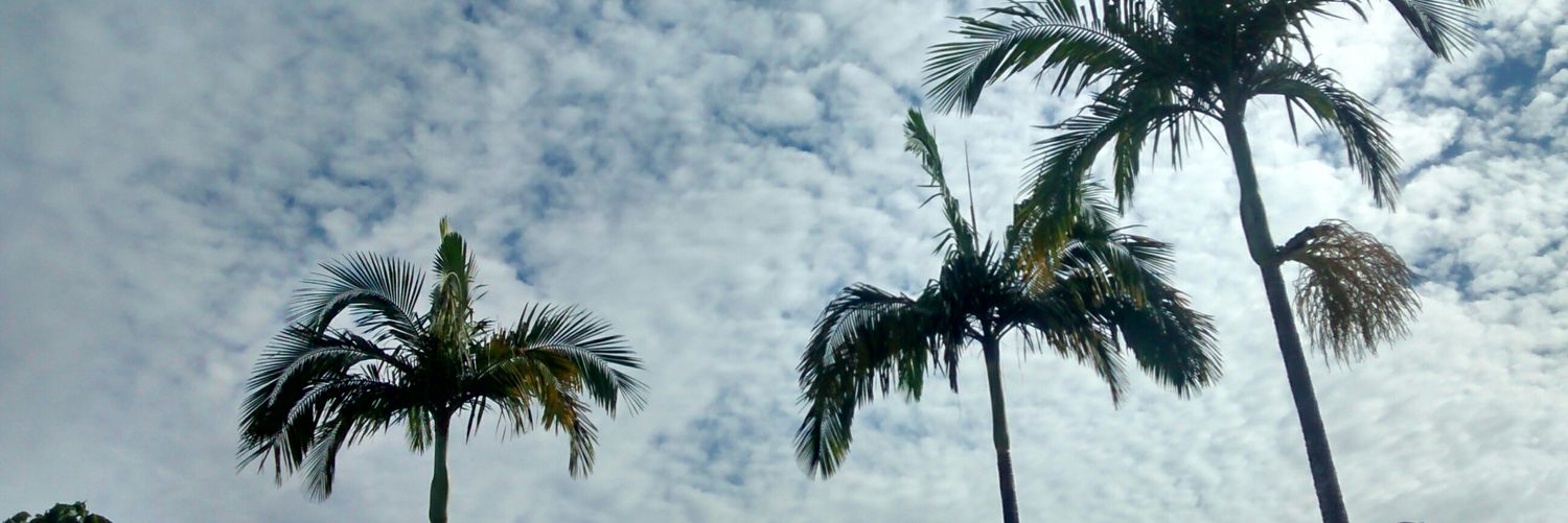 AdilsonJr02's profile banner image