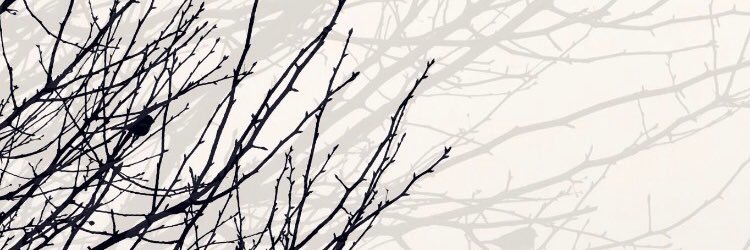 vaneka160's profile banner image