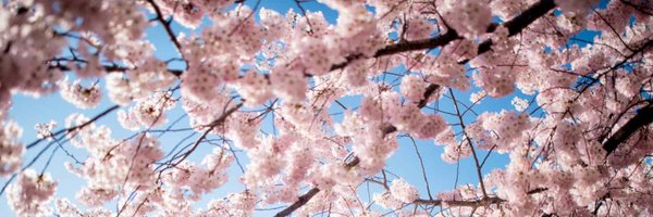 RebeccaMPifer Profile Banner