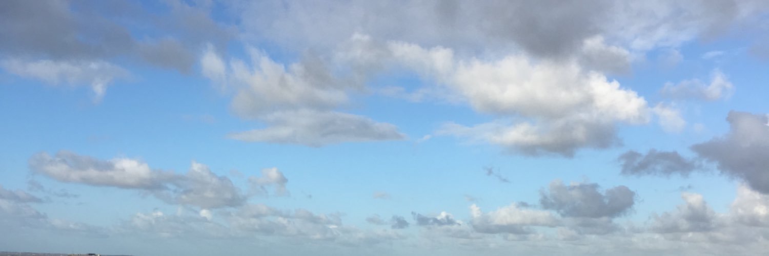 Mrs_Moonpie's profile banner image