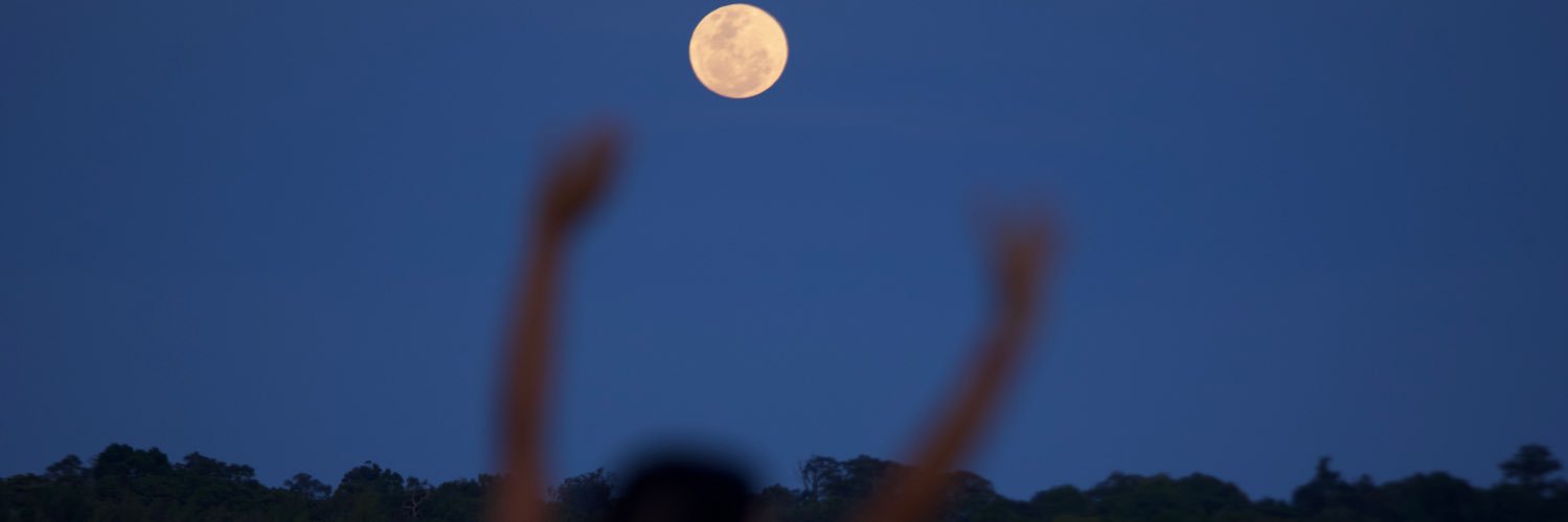 leilanisgramm's profile banner image