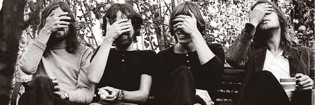 domistacchi's profile banner image