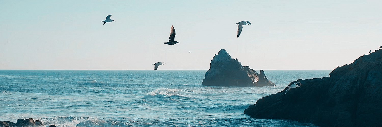 ✮ ashley ✮'s banner